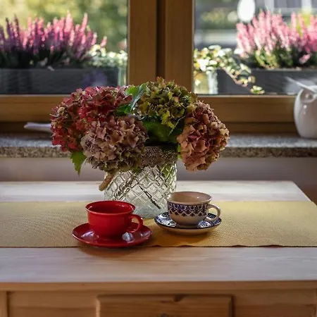 U Harrego Ii Przy Stawie Klimatyzacja,balkon, Sauna , Balia, Ogrod,parking Апартаменти