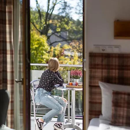 U Harrego Ii Przy Stawie Klimatyzacja,balkon, Sauna , Balia, Ogrod,parking Апартаменти Кудова-Здруй