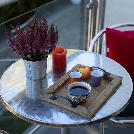 Апартаменти U Harrego Ii Przy Stawie Klimatyzacja,balkon, Sauna , Balia, Ogrod,parking Кудова-Здруй