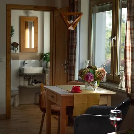 Апартаменти U Harrego Ii Przy Stawie Klimatyzacja,balkon, Sauna , Balia, Ogrod,parking Кудова-Здруй