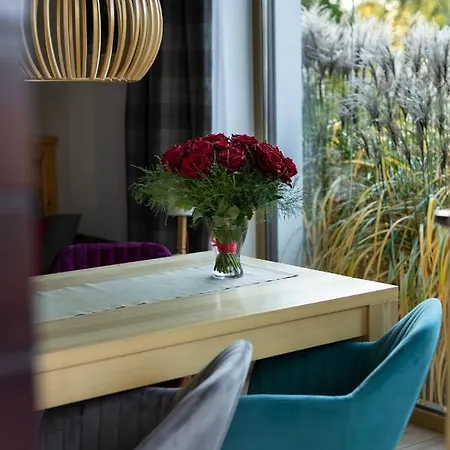 Апартаменти U Harrego Ii Przy Stawie Klimatyzacja,balkon, Sauna , Balia, Ogrod,parking Кудова-Здруй