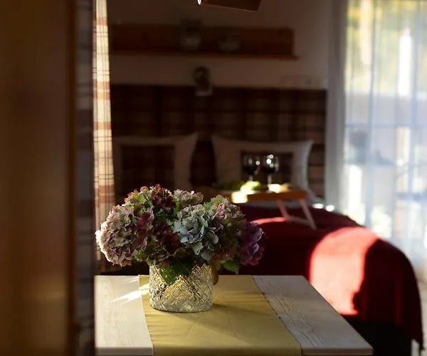 Apartment U Harrego Ii Przy Stawie Klimatyzacja,balkon, Sauna , Balia, Ogrod,parking *