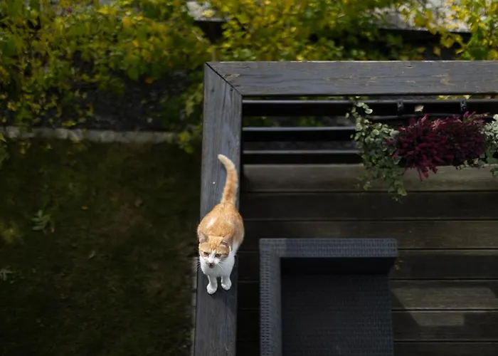 U Harrego Ii Przy Stawie Klimatyzacja,balkon, Sauna , Balia, Ogrod,parking Lejlighed *