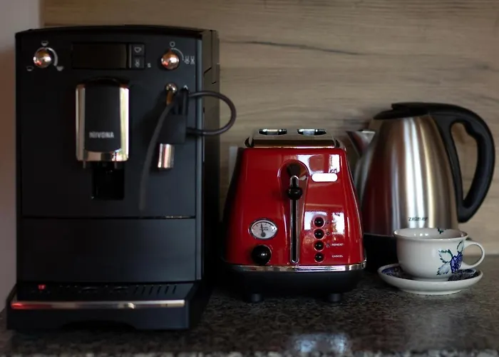 U Harrego Ii Przy Stawie Klimatyzacja,balkon, Sauna , Balia, Ogrod,parking